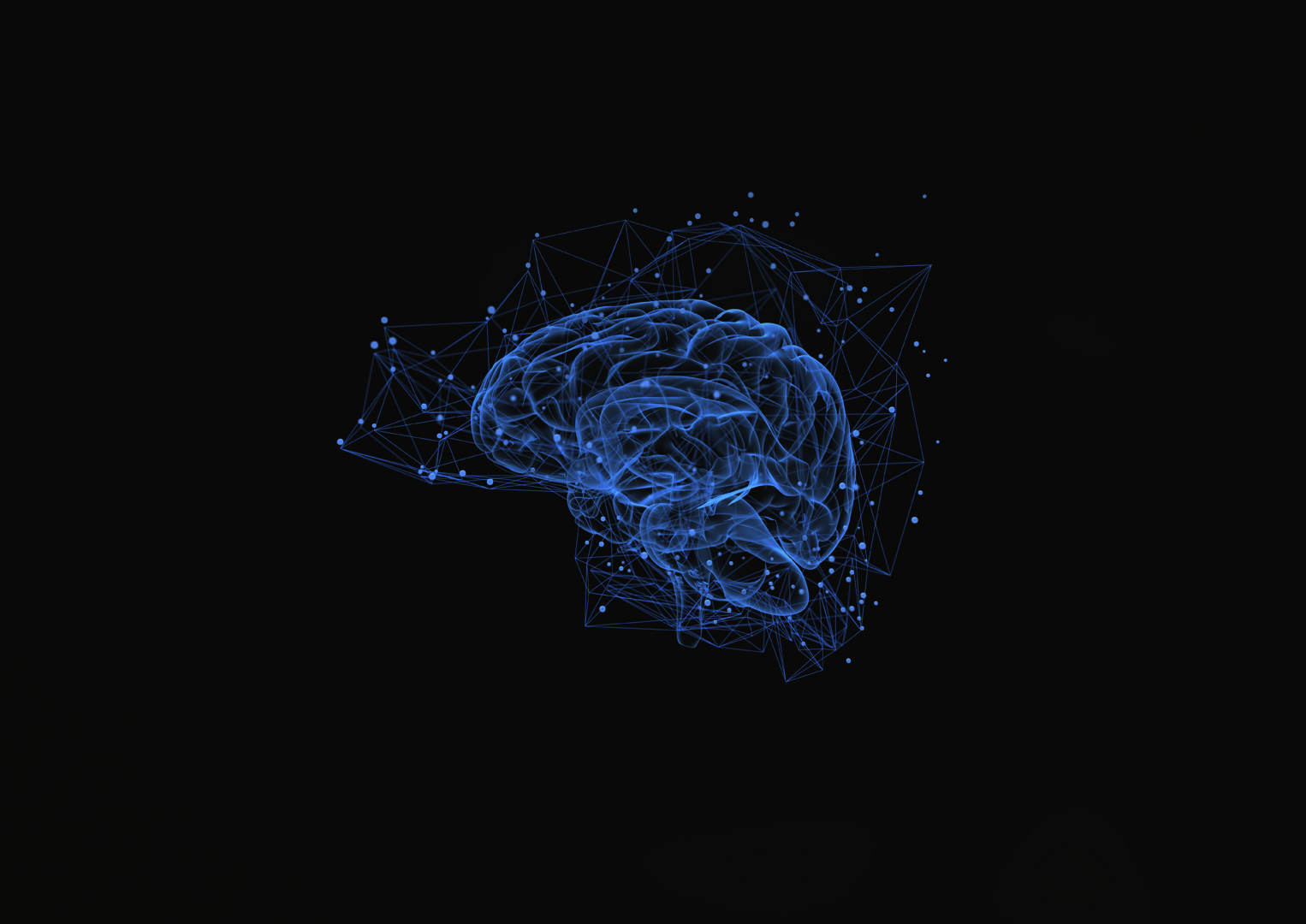 The Optimal Training Mentality | Kravology